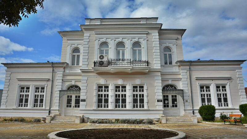 The History Museum