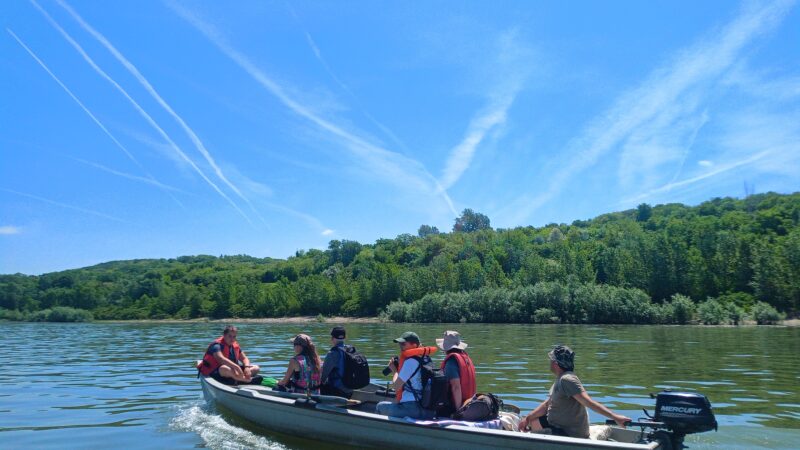 Danube cruise